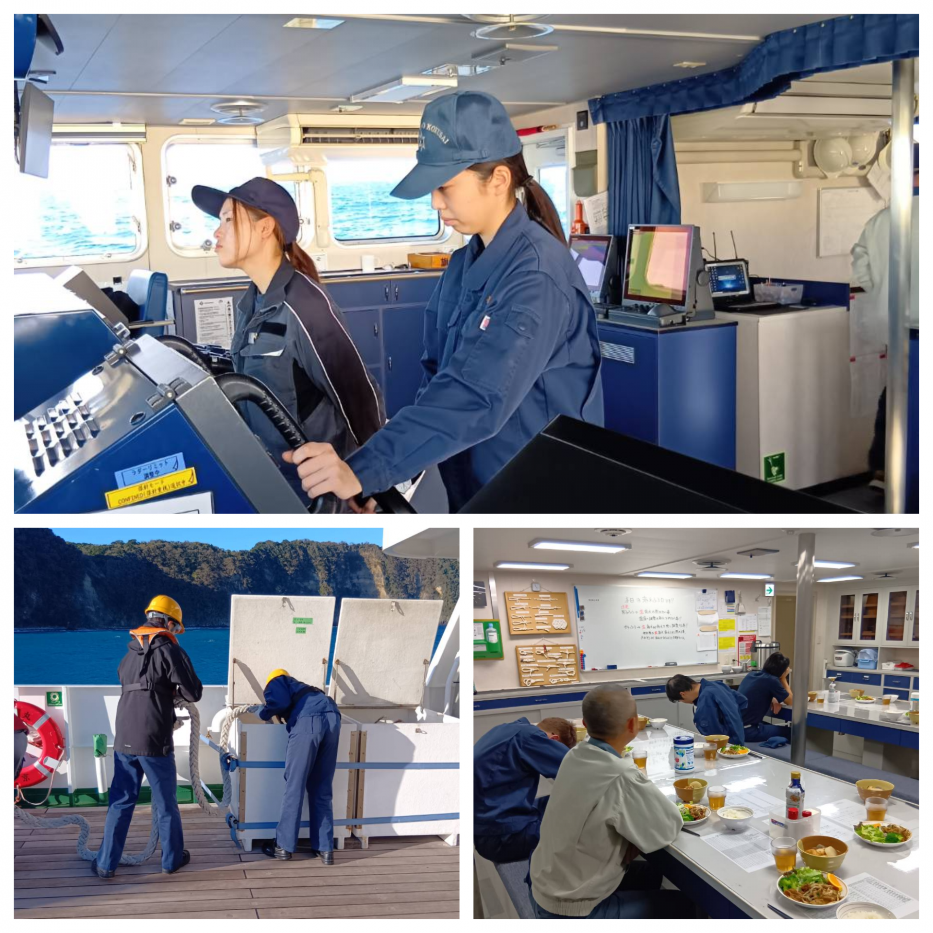 Blank 3 Grids Collage - 2025-12-11T132217.019